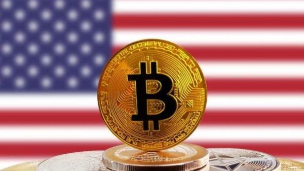我们经常见到的NFT 普遍类型有什么?