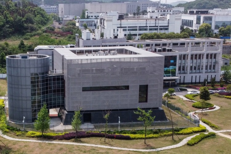 [海伦]最新发布的 2018 年冠状病毒研究计划文件揭示了科学家对安全的担忧
