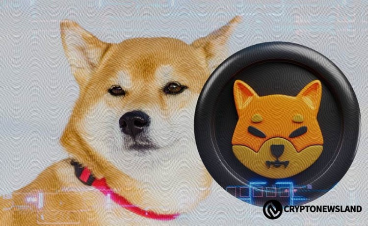 柴犬的 2024 年改变游戏规则的计划和破纪录的烧伤