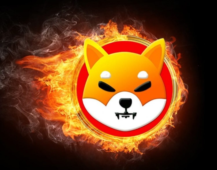 Shiba Inu 宣布自动销毁 SHIB 代币計劃 <p>Shiba Inu 宣布自动销毁 SHIB 代币</p>