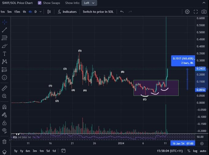 顶级分析师预测基于SOLANA的山寨币将成为SKYRO