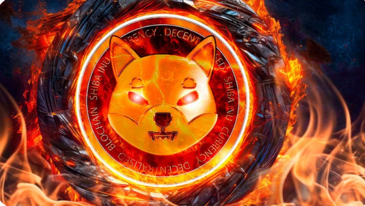 柴犬燃烧率逆势飙升219详情
