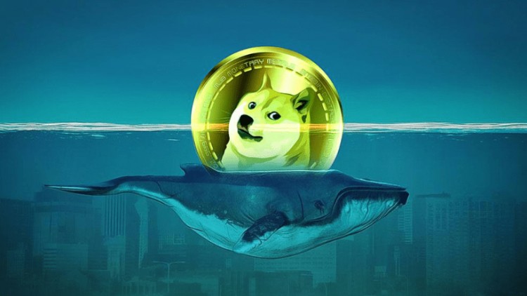 比特币冲破50000美元大关BRAVENEWWORLDOFCRYPTOCURRENCY