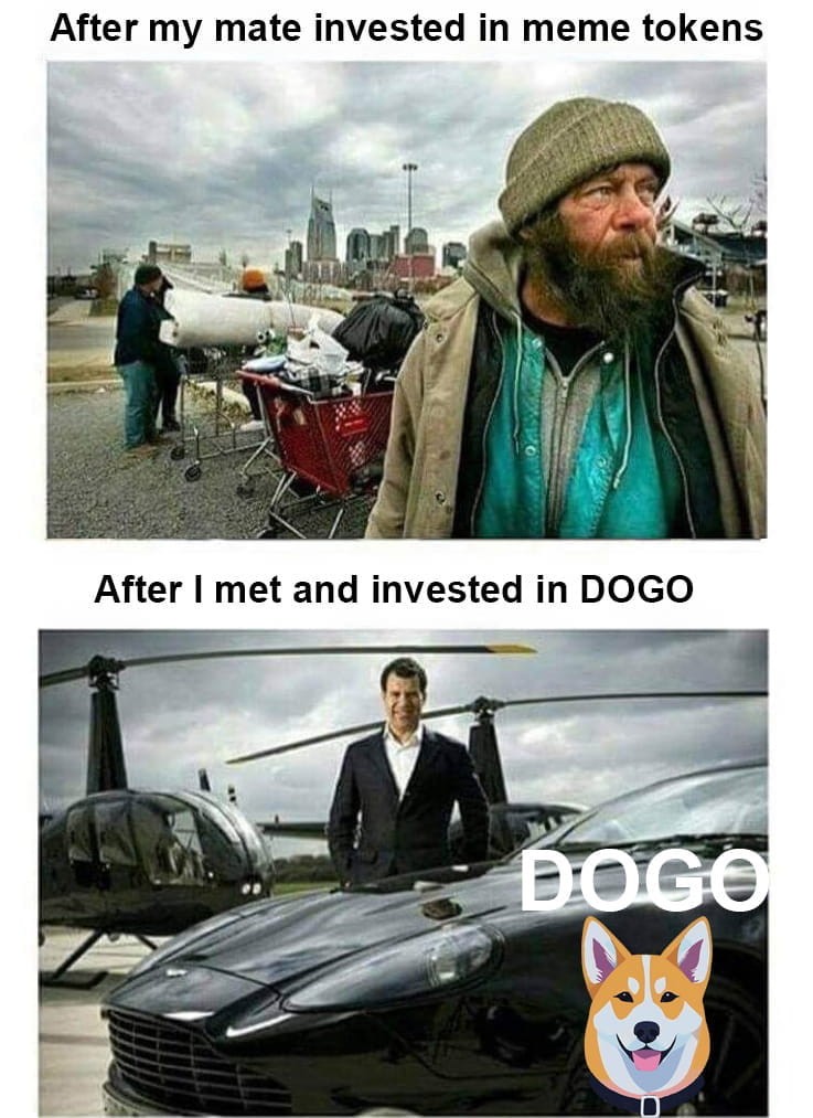 买跌预警DOGO现在买入赢得更多
