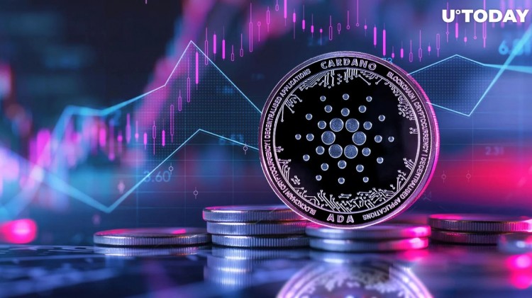 Cardano：210 亿 ADA 转移，预期价格大幅上涨