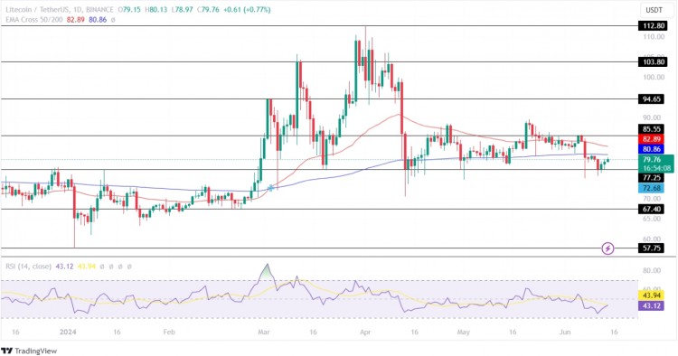 莱特币价格预测：6月份 LTC 价格将飙升20%