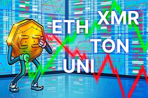 迎来新一轮涨势