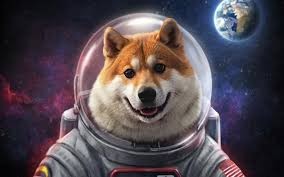 ## 狗狗币：从网络梗到金融现象的历程