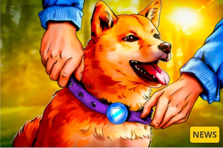 Dogecoin Core 可重复性更新迫在眉睫
